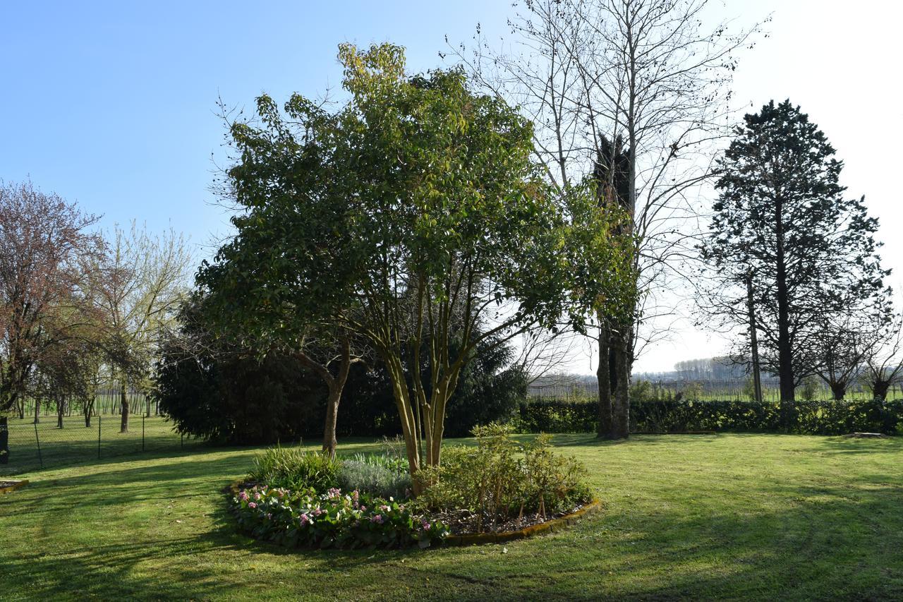 Al Vecchio Fienile Bed & Breakfast San Michele al Tagliamento Eksteriør bilde